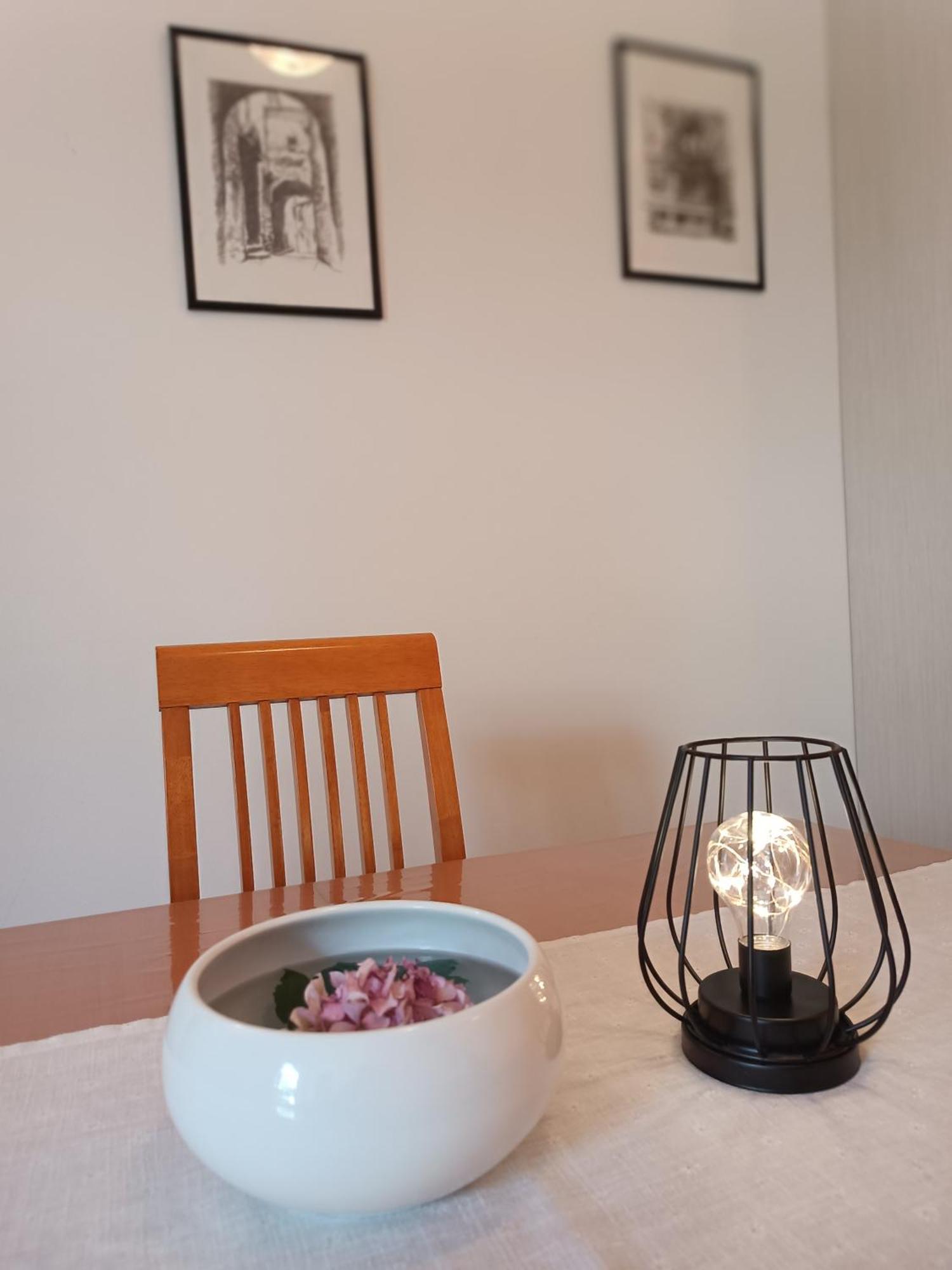 Apartment Lupus